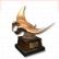 (Geheime Troph�e) Completed Napoleonfish (singer)