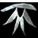 (Geheime Troph�e) Opfer