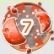 Zerst�rer