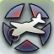 Experte f�r Alliierte Flugzeuge