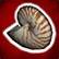 Sieben Nautilusschalen