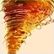 Tornado-T�ter