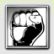 Renegade Fighting League-Champion
