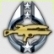 Expertenlevel Sturmgewehr