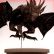 Flying Dragon's Trophy