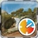 Safari-Zeitrennen