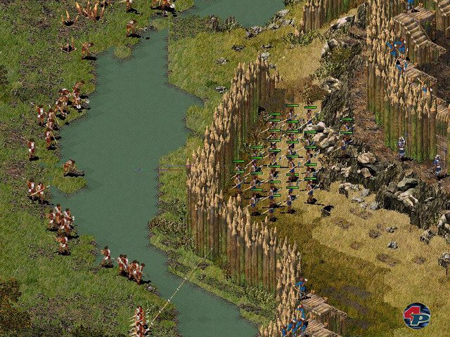 Bild