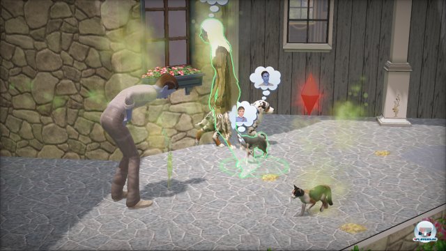 Einfach Tierisch Sims 3 Spieletipps