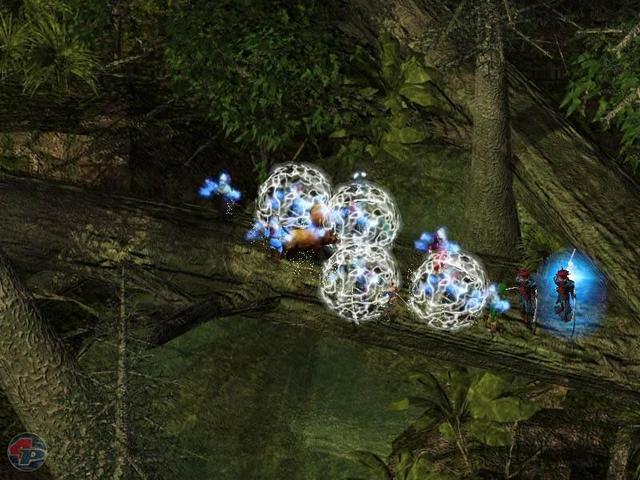 Bild