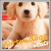 Komplettl�sungen zu nintendogs & cats