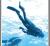 Beantwortete Fragen zu Endless Ocean