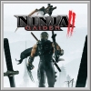 Erfolge zu Ninja Gaiden II