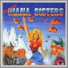 The Great Giana Sisters
