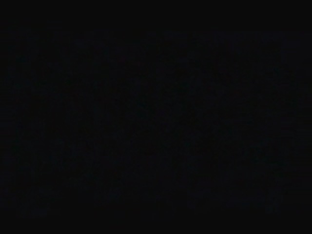 Trailer 1