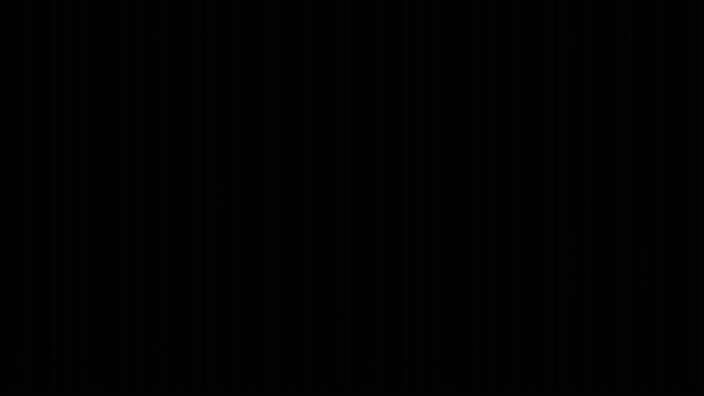 VGA-Trailer