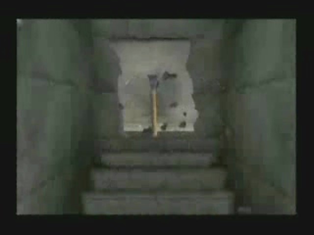 Wii-Entwickler-Vorstellung 1