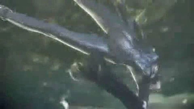 TGS-Trailer 2008