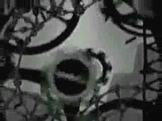 Trailer 1