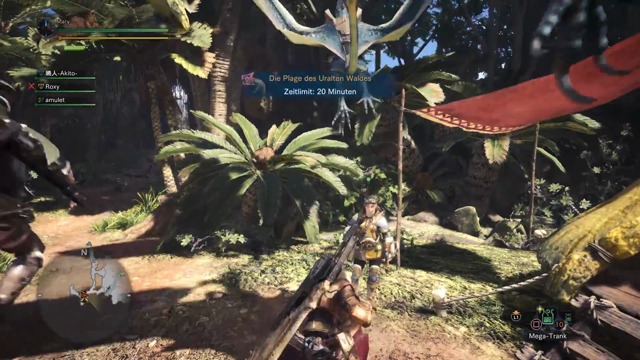 Mehrspieler-Video