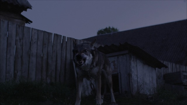 Live-Action-Trailer