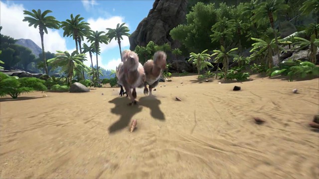 Terror Bird + Grappling Hook