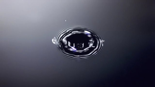 GC-Trailer 2009