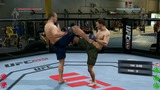 EA Sports UFC: Das Video-Fazit