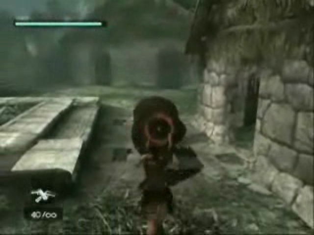 Wii-Entwickler-Vorstellung 5