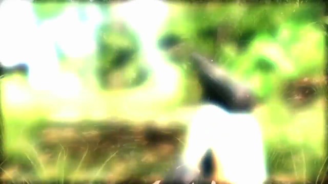Launch-Trailer
