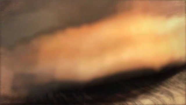 TGS-Trailer 2010