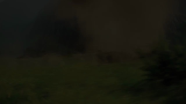 Update 8.1-Teaser