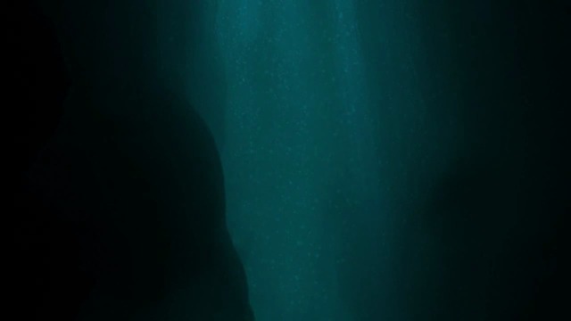 The Stars are Left (DLC)