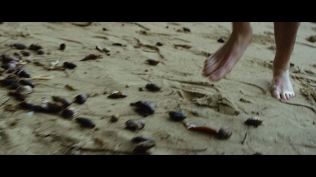Switch-Trailer
