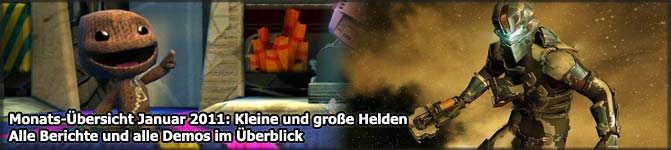 Monats-�bersicht Januar 2011
